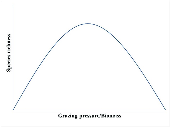20230103160_examples_of_curves_3.jpg
