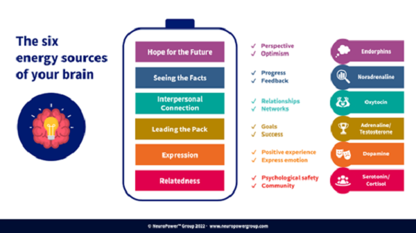 20230715129_social_cognitive_needs.jpg