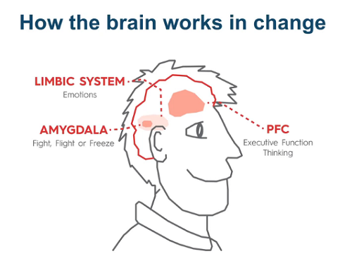20230715190_blood_flow_to_the_brain.jpg