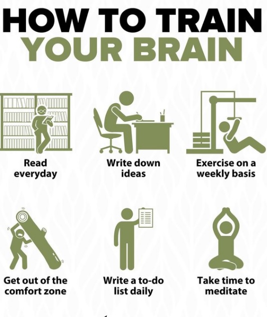 77_how_to_train_your_brain.jpg