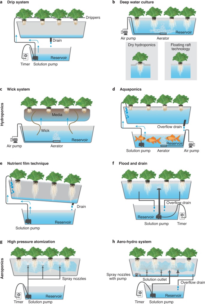 80_vertical_farming.jpg