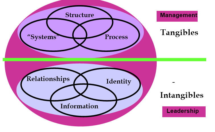 organisational development change management