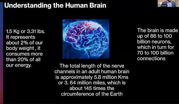 understanding_brain.jpg